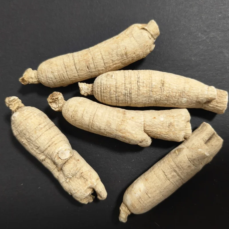 High-Quality Health Tea from Jilin Changbai Mountain, Made with American Ginseng
