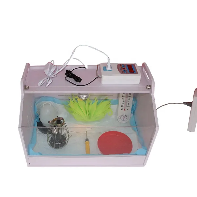 Heating Raise Small Size Crawling Duck Goose Quail Rare Birds Chicken Brooder Breeding Box Brooder For Baby Poultry