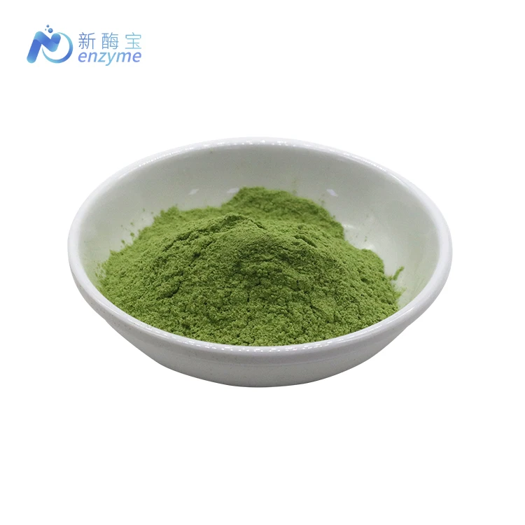 Novenzyme Supply Natural Vegetable Powder Organic Kale Extract Powder