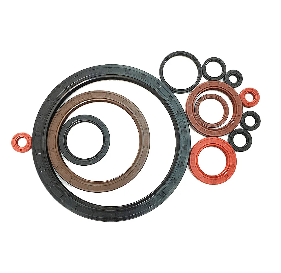 Hebei China Factory High Quality Aging and Oil Resistant TG TC Hydraulic Oil Seal Retainers Made in China