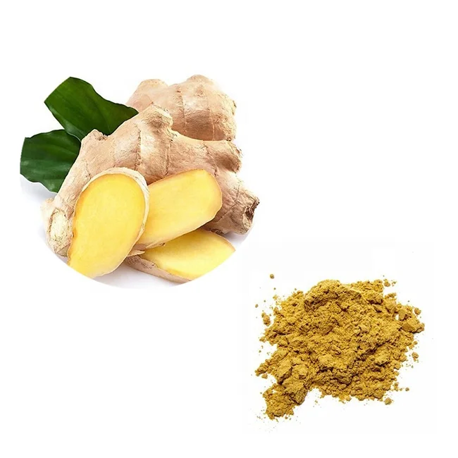 
 Сырой органический порошок экстракта корня имбиря с 5%-20% имбиря  