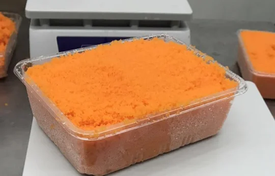 Морской капелин Икра Маго апельсин для суши рулон