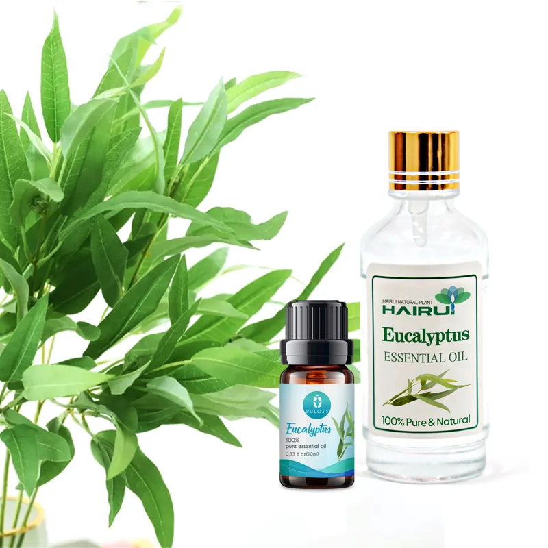 Factory wholesale bulk free sample eucalyptus essential oil private label pure natural undiluted eucalyptus oil for hair care
