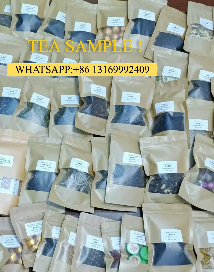 SAMPLE
