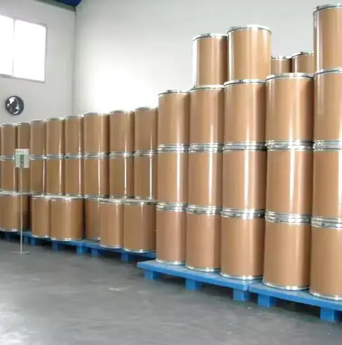 Top Quality Wholesale Price Psyllium Seeds Top Selling 100% Natural And Healthy Raw Food Material Psyllium Seeds For Sale