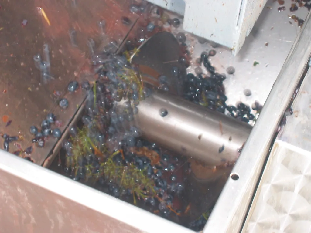 Best Sell Italian Brand Il Ciliegio Wine Alcoholic Beverage Artisan Docg Wine With 14 % Vol