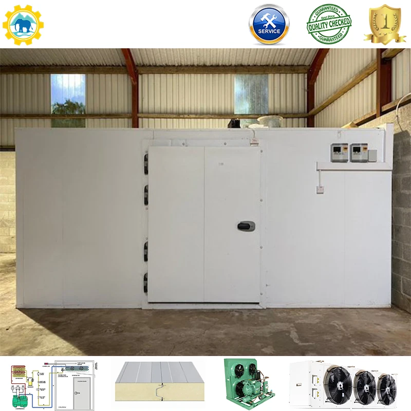 Cold room for dead body Mortuary Freezer Morgue Refrigerator Funeral Corpse Cold Room