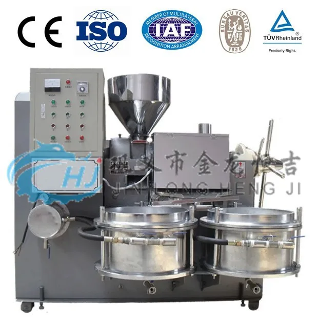 Customized Cold and Hot Oil Presser Peanut/Sesame/Soy Bean  Press Machine
