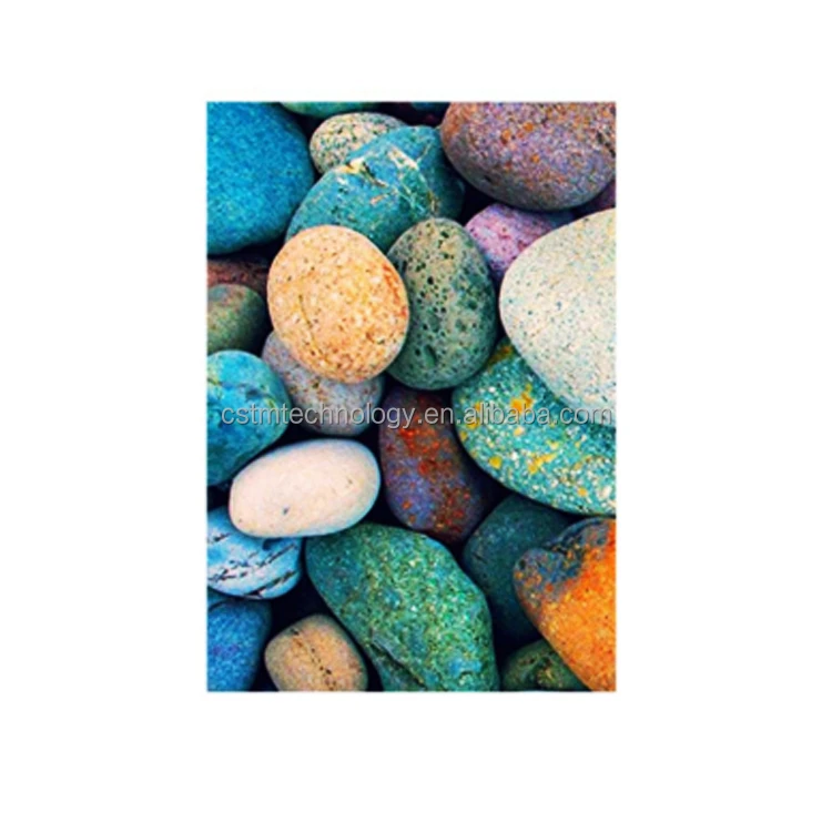 
2D UV Print Film Color Back Sticker Protector Para Celular Universal Film Football/Serpentine Screen Protect Laminate Phone Skin 