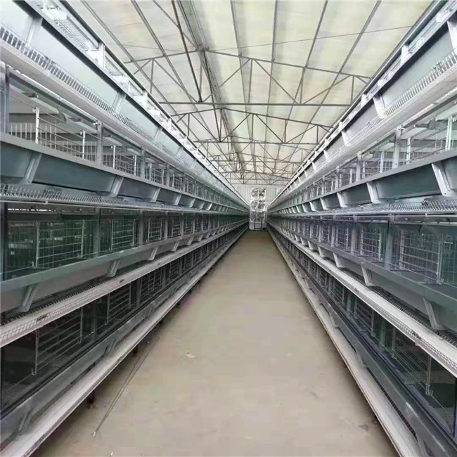 Professional R & D and production of automation equipment layer chicken cage for chicken farm