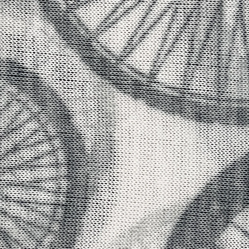 BAN-23090513-Vita (1)