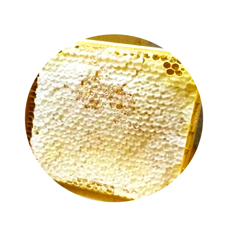 Pure & Natural Bee Bread Bee Perga 100% Natural Pollen Flower Produced By Bees From The Pollen Grains Of Plants