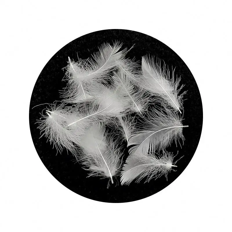 
Washed Goose Feathers Plume Natural Materials For Soft Filling Materials 