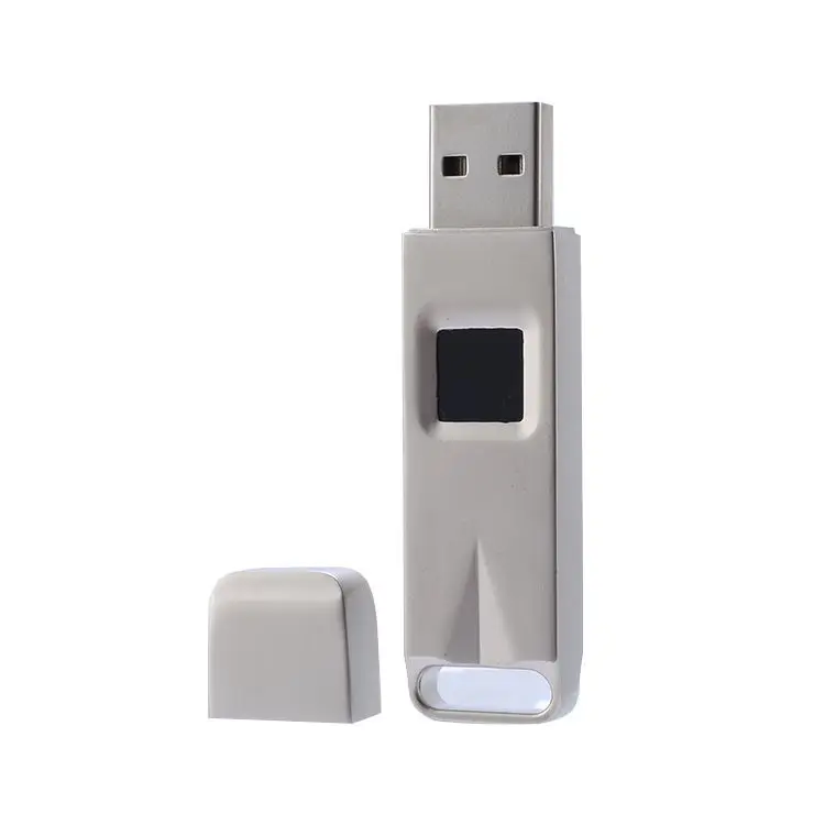 Good Quality Factory Living Finger print High-Speed Identification Encryption Flash Drive Usb