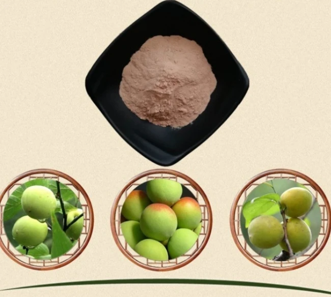 Factory supply hot selling high quality natural organic green plum juice seasoning powder green plum fruit extract powder