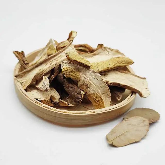 Wild Mushroom Natural porcini High quality Organic Edible Boletus Ingredients