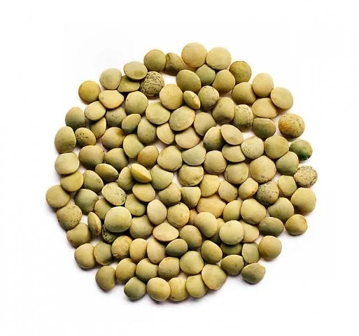 Оптовая продажа из Казахстана, зеленая линза, натуральные органические зеленые линзовые бобы первого класса, упаковка 50 кг