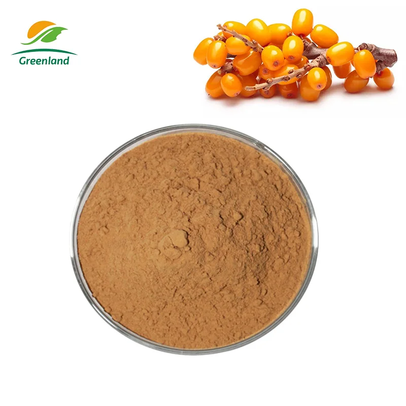 Antioxidant Fruit Extract Powder 1%-10% Total Flavonoids Sea Buckthorn Extract Powder