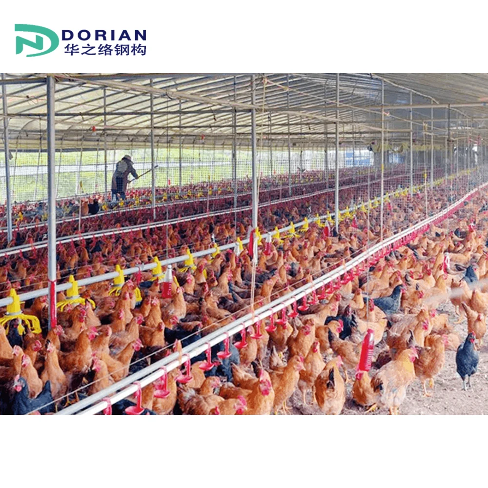 20000 Steel Structure Prefabricated Chicken Broiler Breed Poultry Farm Building