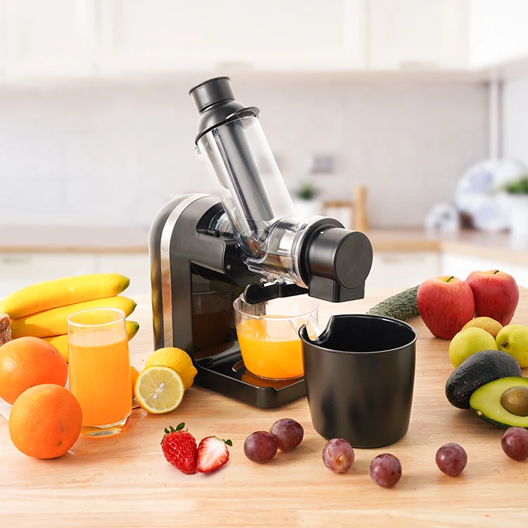 Cold Press Juicer Compact Single Serve Slow Masticating Vegetable and Fruit Juice Maker Squeezer Machine