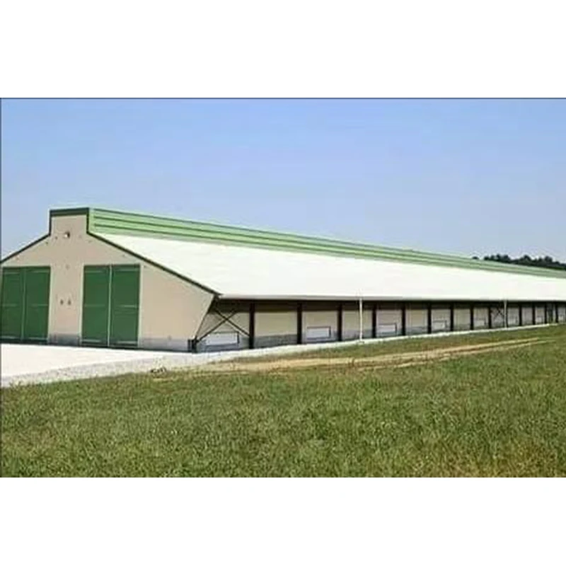 Prefabricated Metal Farm Building Steel Structure Fabrication  Poultry Farm Chicken House
