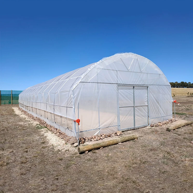 
Cheap Agriculture Multi-span Glass Greenhouse Hydroponic Greenhouse PC sheet sunshine other greenhouse 