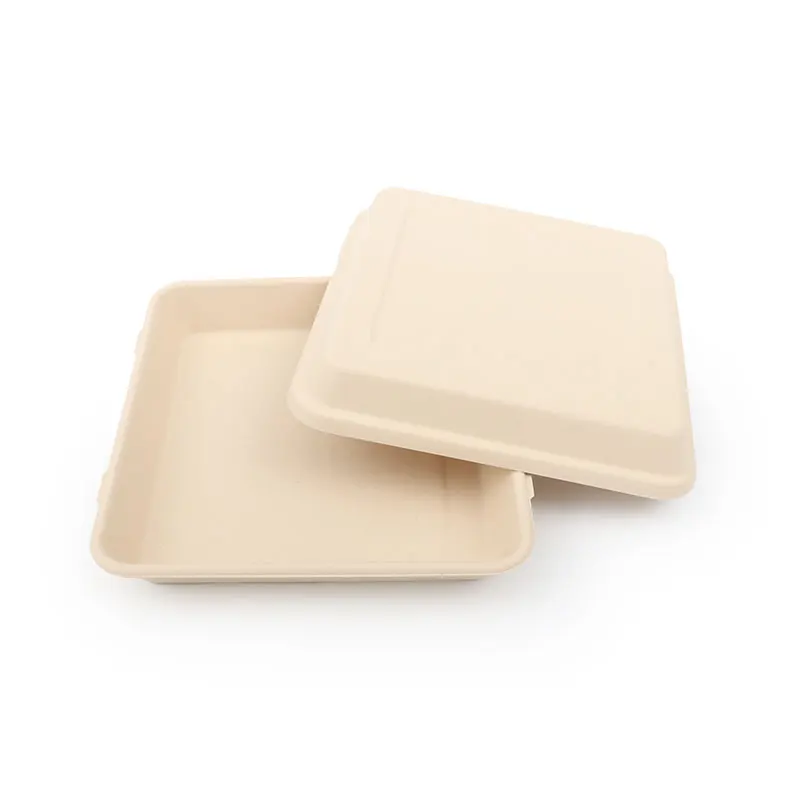 Disposable Tray Eco Friendly Microwavable Dish for Restaurant Biodegradable Bamboo Sugarcane Pulp Round Food Plates