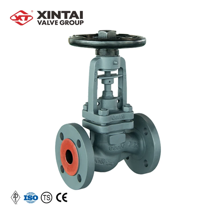 J41H-16P DN25 PN16 Custom Ductile Iron Cast Iron DIN S Pattern Flanged Bellows Seal Globe Valve