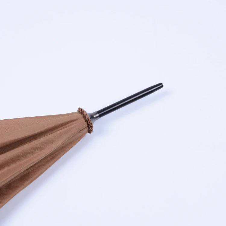 Korea umbrella Fashionable auto open umbrella fancy handle for ladies