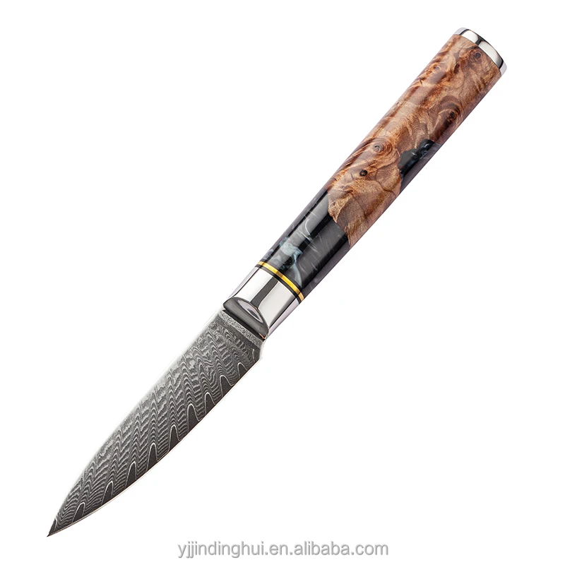 Asian Knives damascus 3.5 inch paring peeling knife VG10 steel kitchen knife with resin wood handle