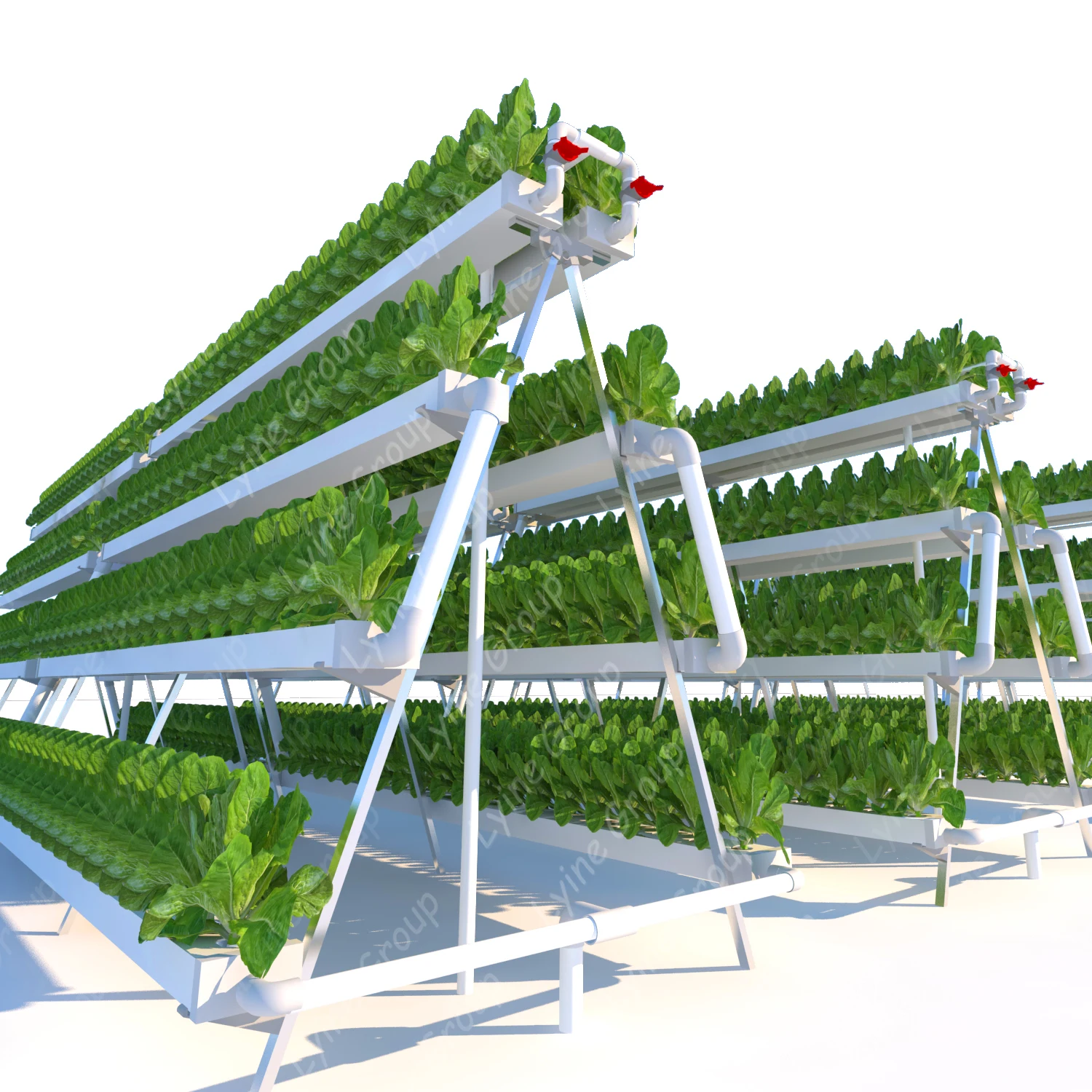 Complete Greenhouse Strawberry Hydroponics System with Drip Irrigation