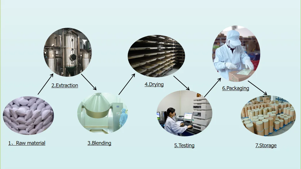 Sales!Natural Dandelion Root Extract powder