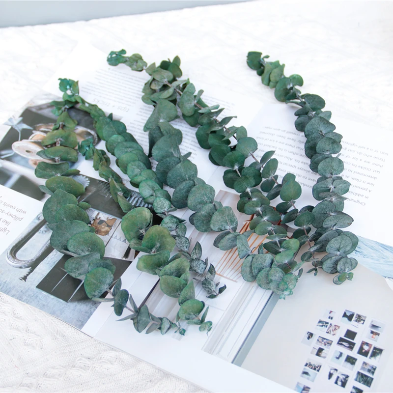 Ruikali Natural Organic Dried Plants Preserved Flower Bouquet Wreaths Windmill Fruit Flower For Wedding Gift Christmas Baubles