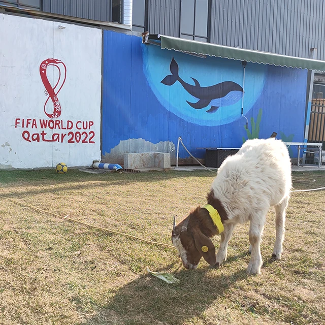 Делейк высокое качество лидер продаж пользовательские Ушные бирки NFC управление отслеживанием животных для коровьей козы свиньи лошади