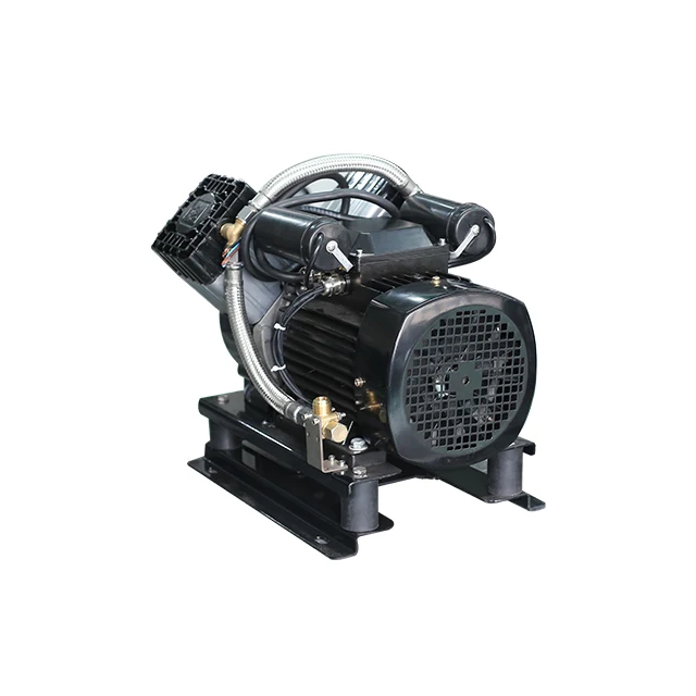 Popular 220v 50hz Medical Unit Silent oil free Motor Spare Parts Portable Mini Air Pump Compressor Head