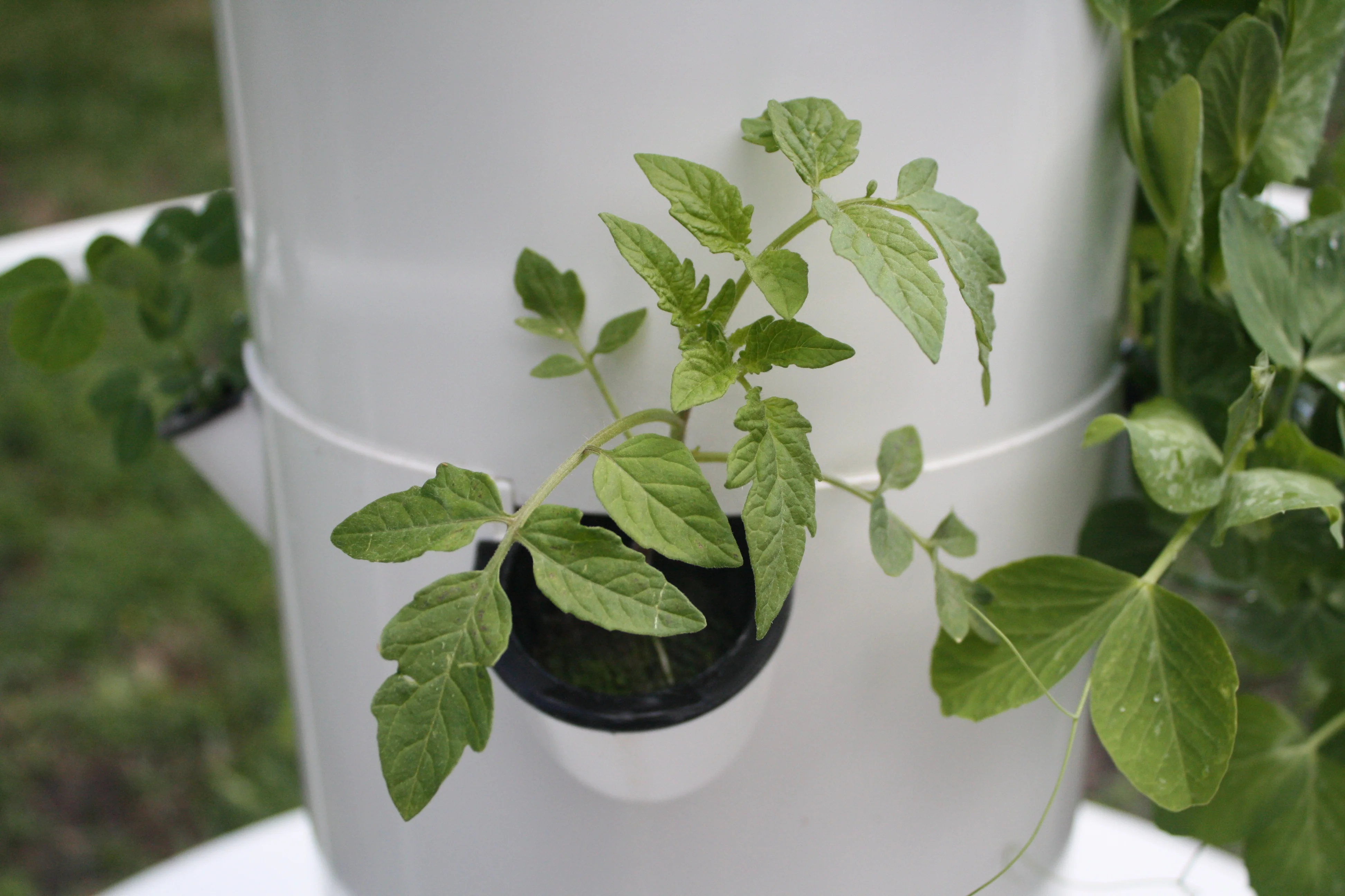 Hydroponic Greenhouse Indoor Plant Vertical Tower hydroponics tower for plant grow vegetable grow