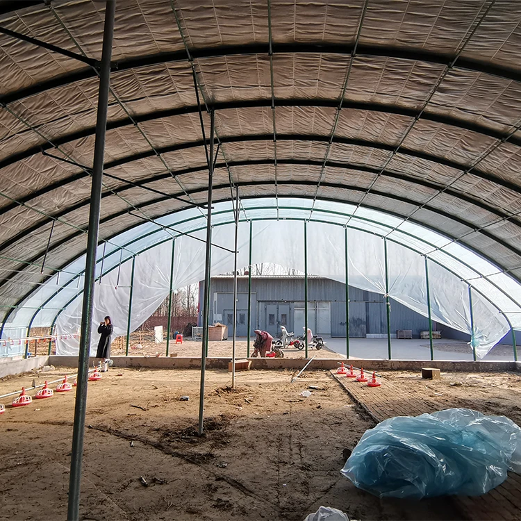 Недорогая теплица для овощей