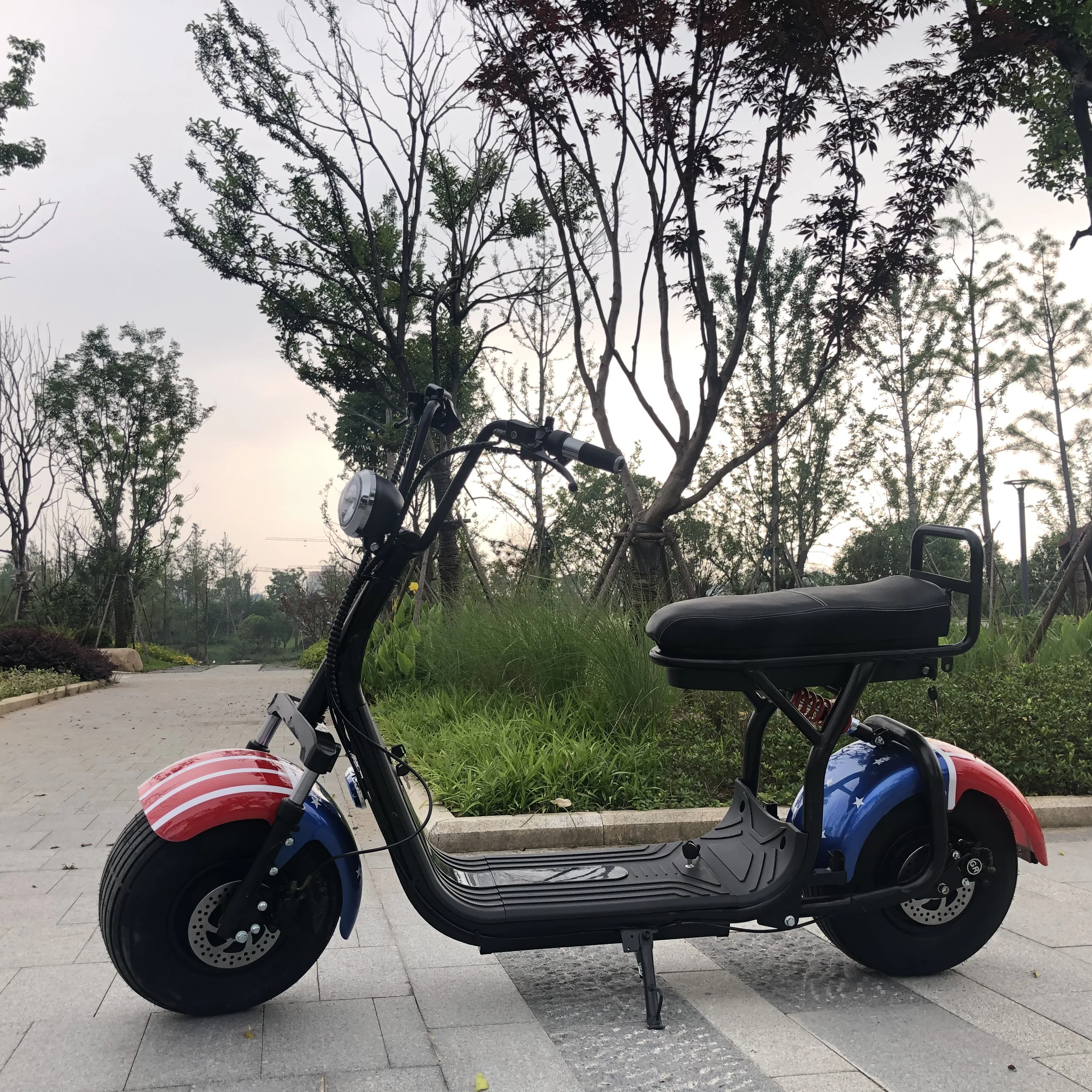 citycoco scooter _3.JPG