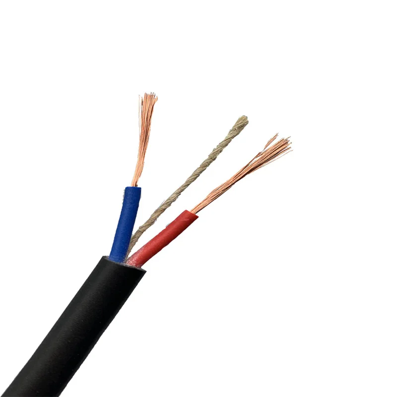 Multicore Flexible Electric Power RVV Copper Core Steel Tape Armoured Armored Shielded Control Wire Cable for Industrial Use