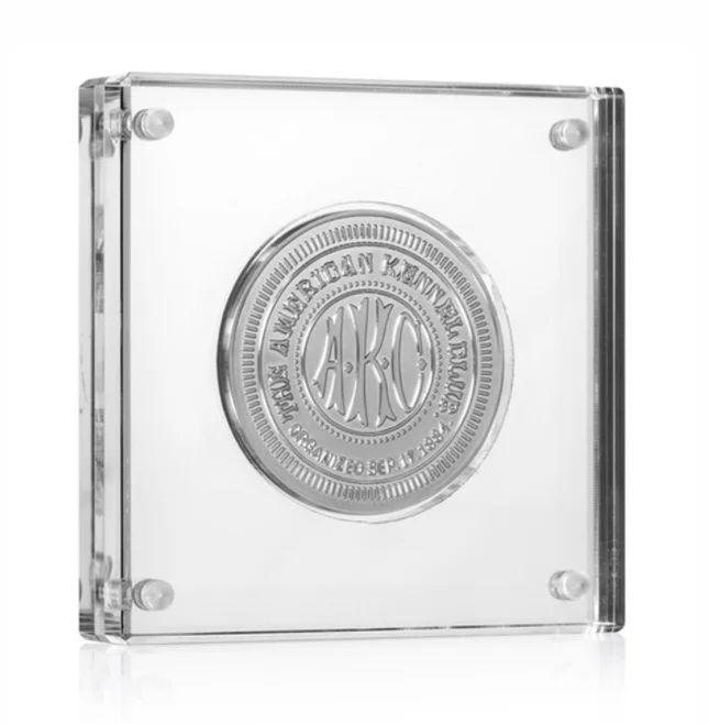 Custom Acrylic Medal Display Block Clear Acrylic Magnetic Coin Display Holder