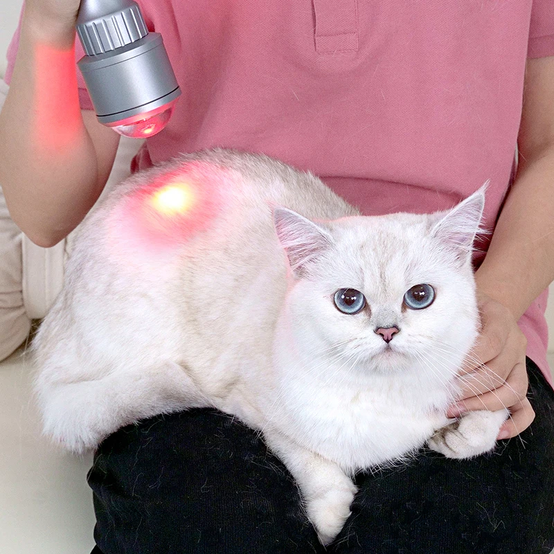 Animals Pain Relief Laser Therapy 635nm 810nm 915nm 980nm for Animal Recovery and Swelling Reduction