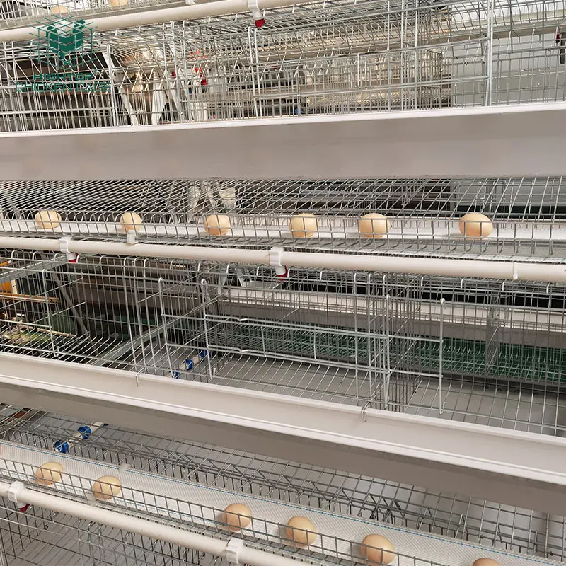 HIGHTOP оборудование для птицеводства A Тип 4 яруса несущая яйца слойная батарея Автоматическая клетка для цыплят в Кении