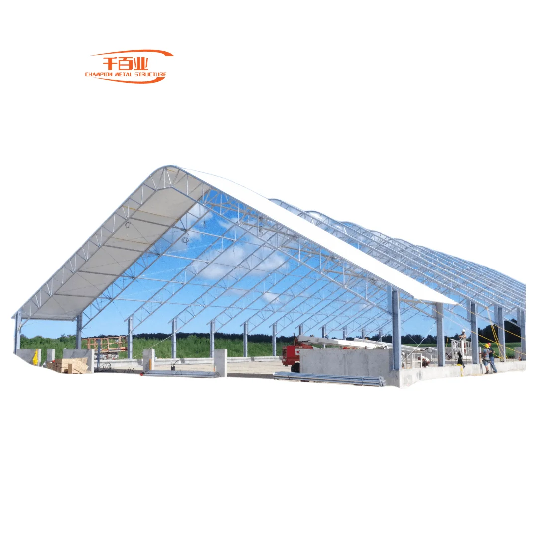 double steel garage parking iron craft entrance door with window beam building construction design fiberglass