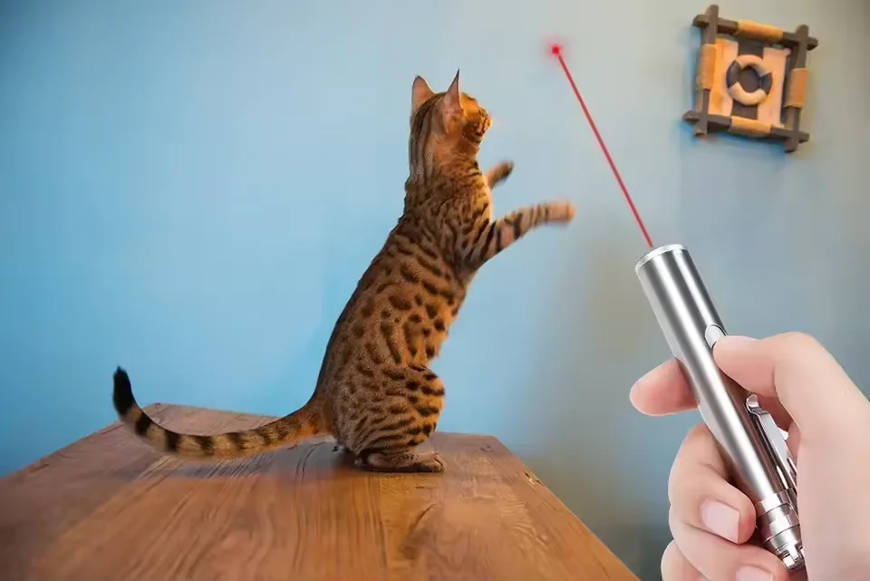 Кус кошка игрушка Интерактивная USB перезаряжаемая кошачья и собака лазерная указка 5 переключаемых режимов питомец светодиодный