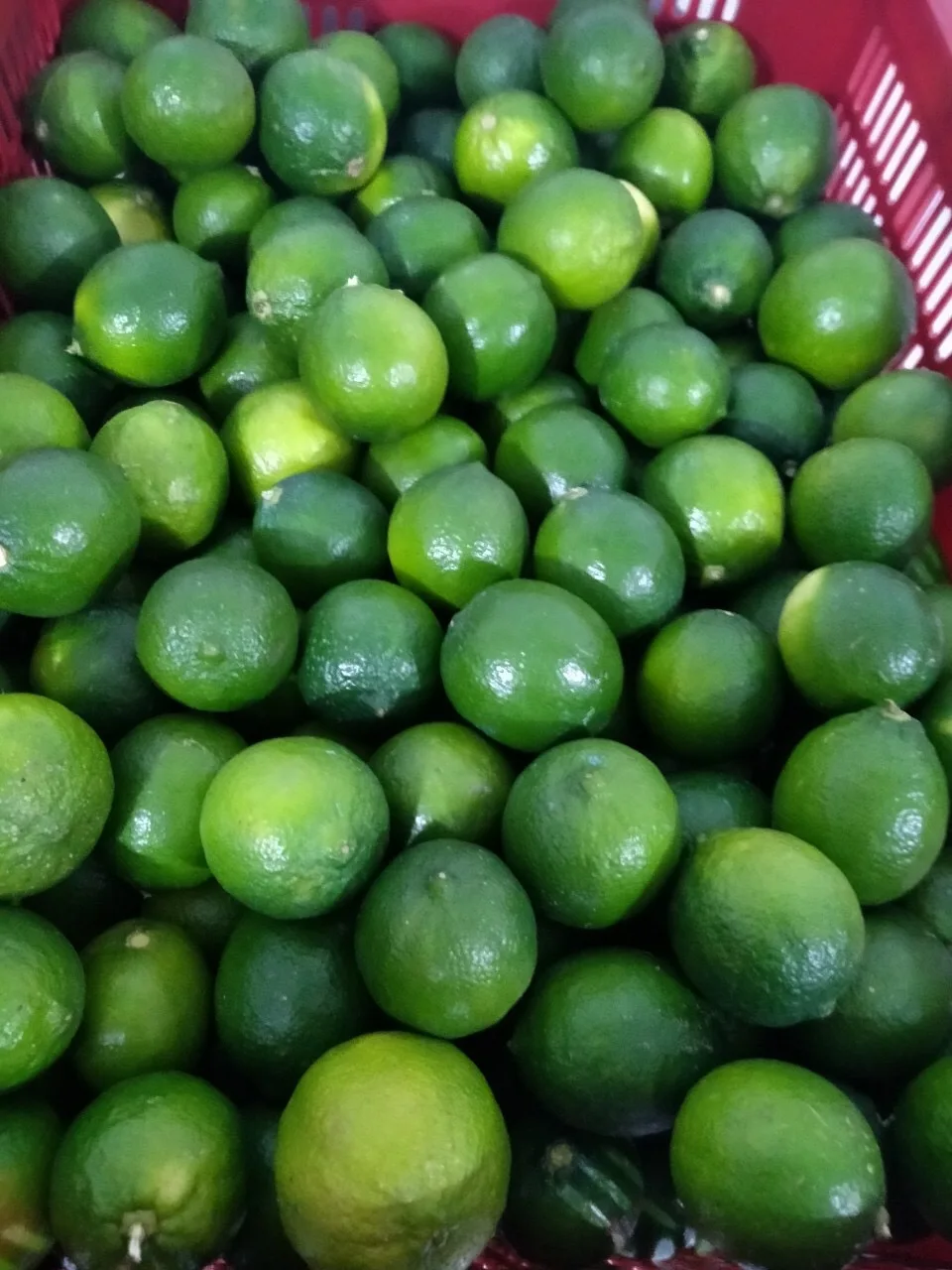 Лидер продаж из Вьетнама высокое качество оптовая продажа низкая цена минимальный заказ