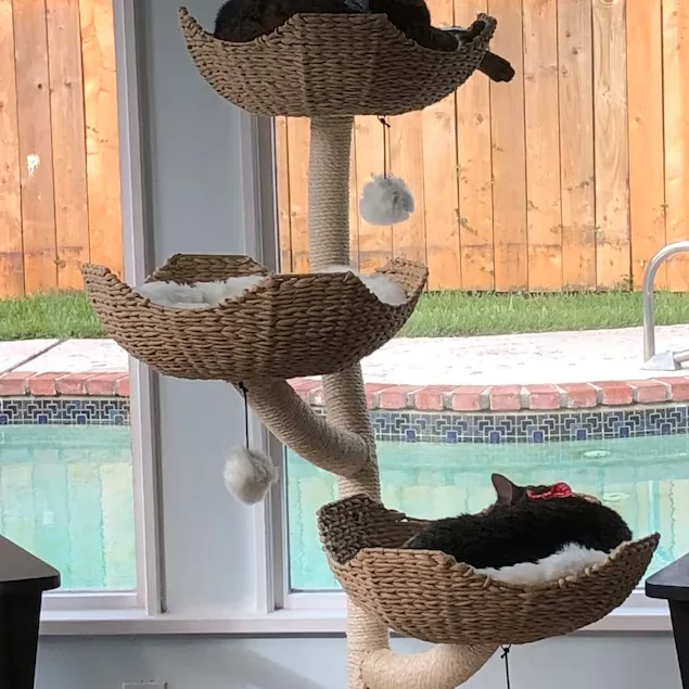 Kinghon OEM Natural Wood House Luxury Cat Climbing Frame With Rattan Woven Bed And Sisal Rope Cat Scratching Posts Cat Tree