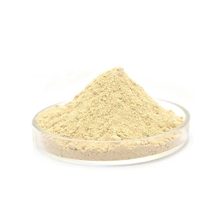 Food Grade Soybean Extract Phosphatidylcholine Powder 95% 98% Hydrogenated Phosphatidylcholine