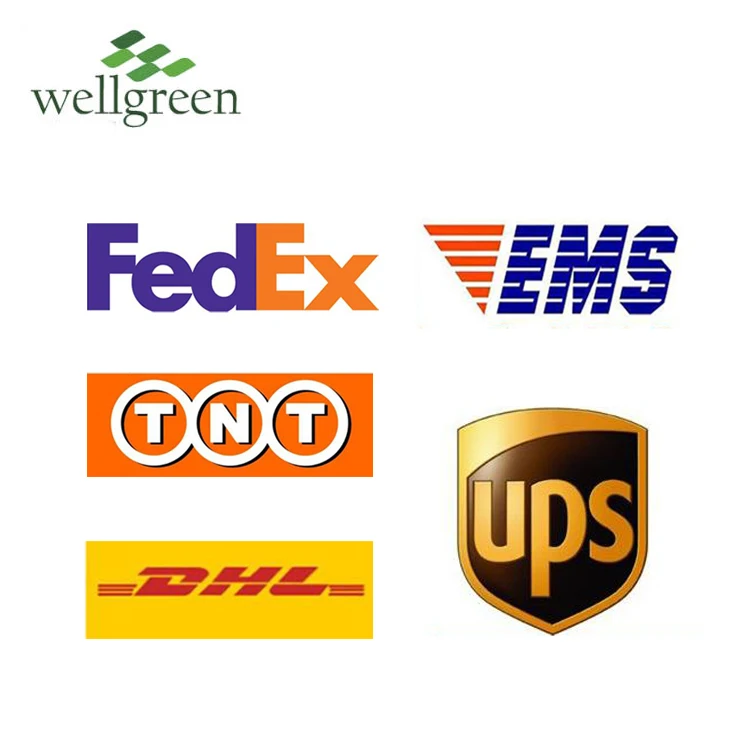 
Wellgreen Natural Tea Extract (-)-Epicatechin / Epicatechin(EC)90% For Healthcare Capsules 