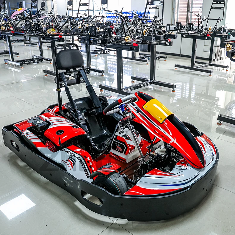 200cc Go Kart Toy Racing Car Customizable Colors Engine for Adults and Children Drift Riding