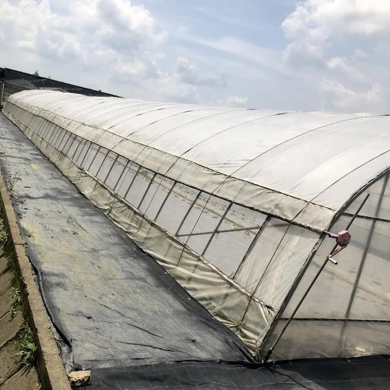 Сад Bee био разлагаемая пластиковая мульчирующая пленка Садоводство сельское хозяйство пленка открытый сад пейзаж защита от сорняков блокиратор